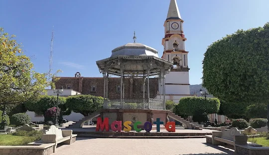 Vista de Mascota